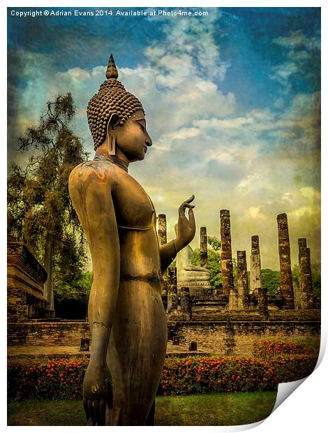 Sukhothai Buddha Print by Adrian Evans