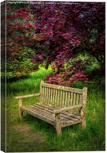 Park Bench Canvas Print by Adrian Evans