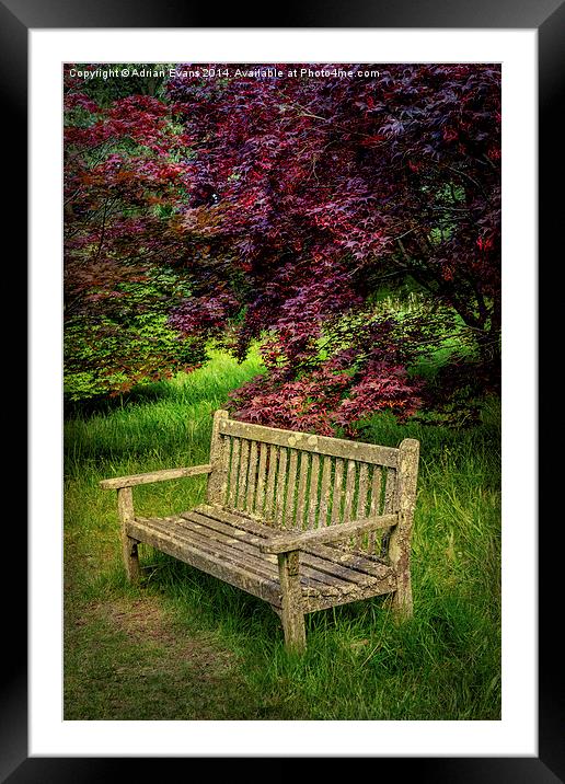 Park Bench Framed Mounted Print by Adrian Evans