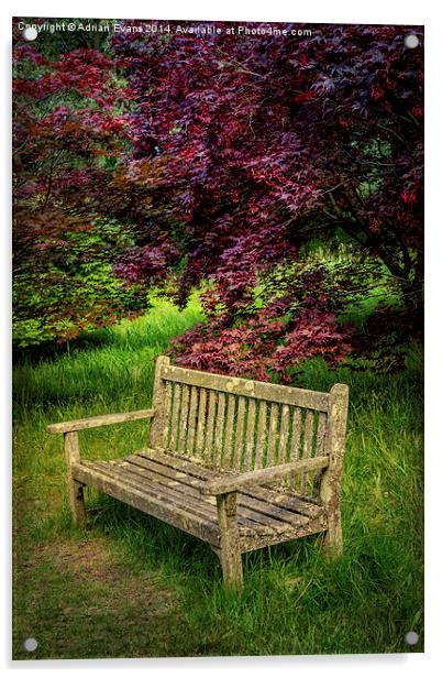 Park Bench Acrylic by Adrian Evans