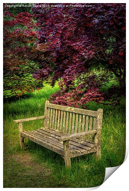 Park Bench Print by Adrian Evans