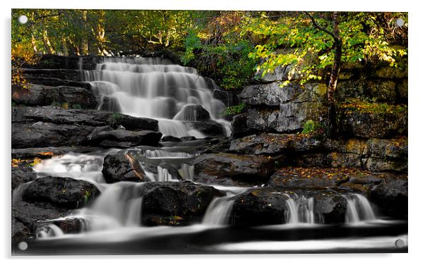  East Gill Lower Falls - Keld Acrylic by David Holder