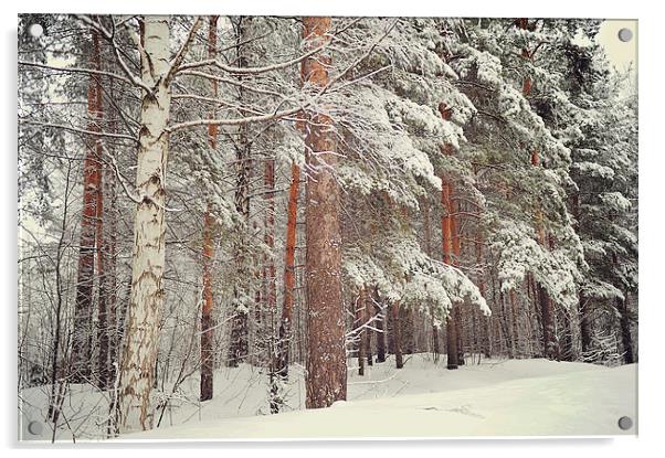  Snowy Memory of the Woods  Acrylic by Jenny Rainbow