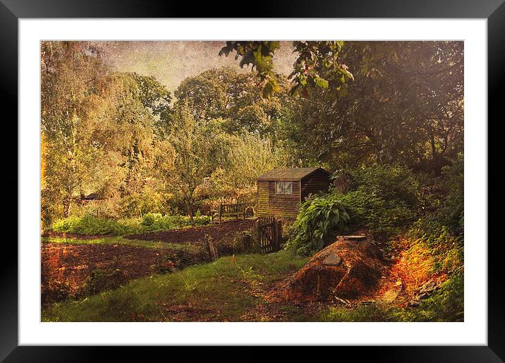  The Allotment Framed Mounted Print by Dawn Cox