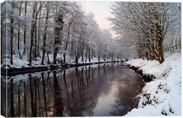 River Don in Winter  Canvas Print by Darren Galpin