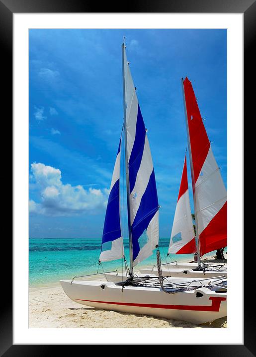 Catamarans on the Beach  Framed Mounted Print by Jenny Rainbow