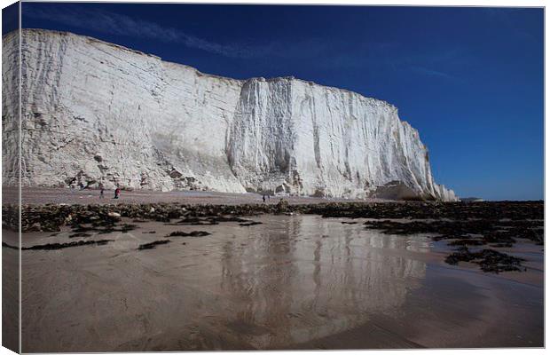  Chalk cliffs rising above the beach Canvas Print by Stephen Prosser