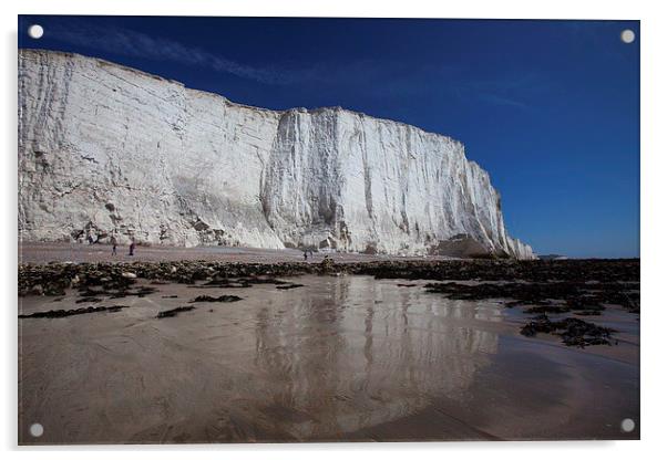  Chalk cliffs rising above the beach Acrylic by Stephen Prosser