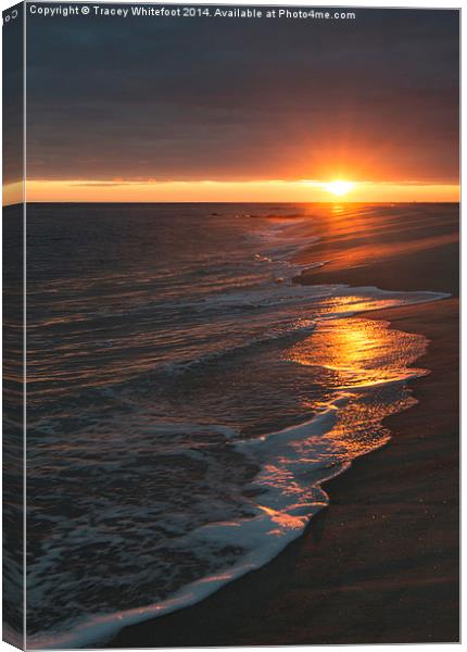 Cape May Sunset  Canvas Print by Tracey Whitefoot
