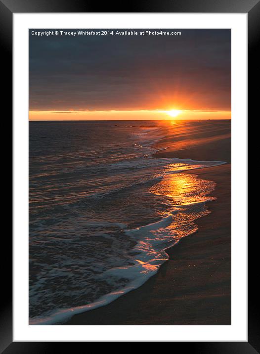 Cape May Sunset  Framed Mounted Print by Tracey Whitefoot