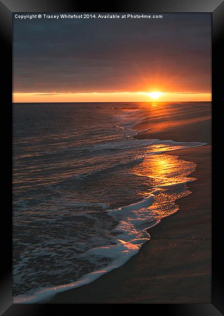 Cape May Sunset  Framed Print by Tracey Whitefoot