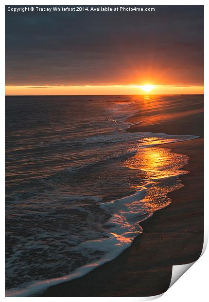 Cape May Sunset  Print by Tracey Whitefoot