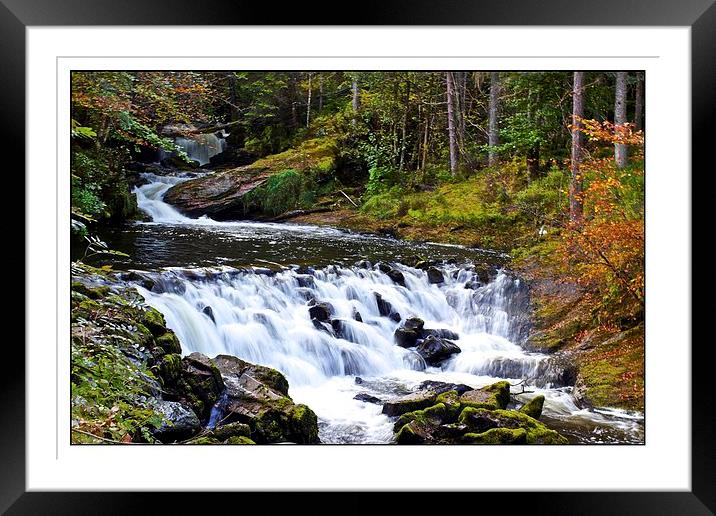  Autum rush Framed Mounted Print by jane dickie