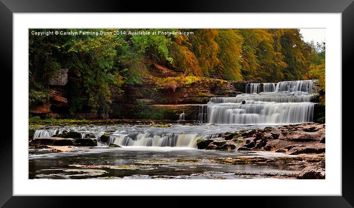  Aysgarth Falls Framed Mounted Print by Carolyn Farthing-Dunn