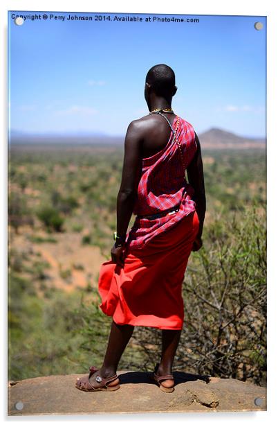 Maasai Warrior  Acrylic by Perry Johnson