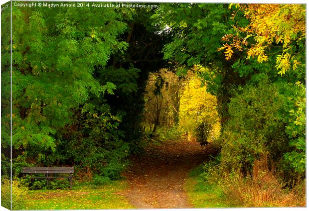 Autumn woodland walk Canvas Print by Martyn Arnold