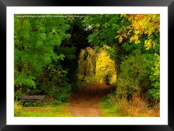 Autumn woodland walk Framed Mounted Print by Martyn Arnold