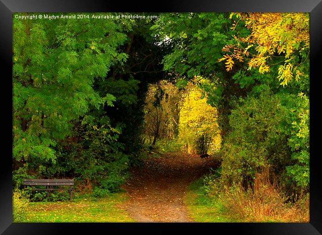 Autumn woodland walk Framed Print by Martyn Arnold