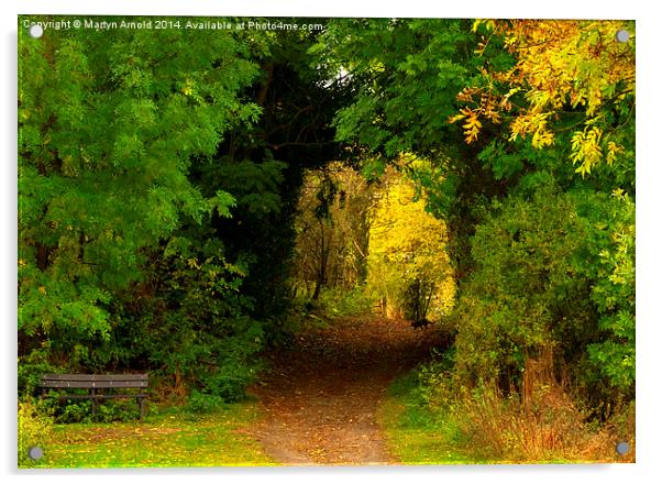 Autumn woodland walk Acrylic by Martyn Arnold