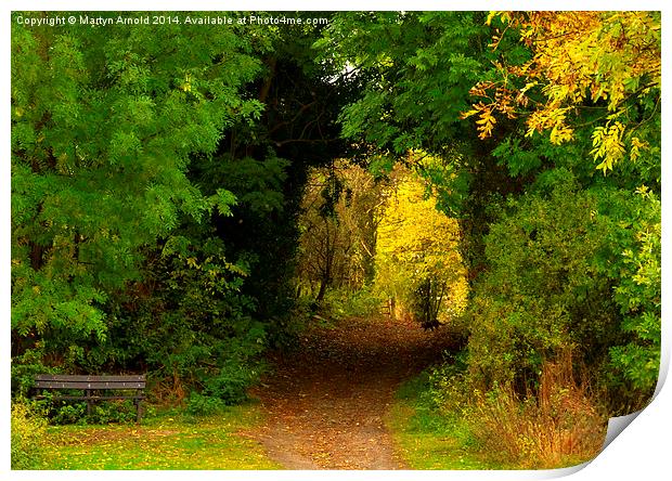 Autumn woodland walk Print by Martyn Arnold