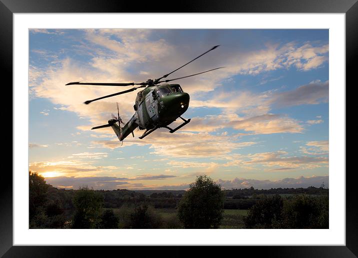 Army Lynx  Framed Mounted Print by J Biggadike