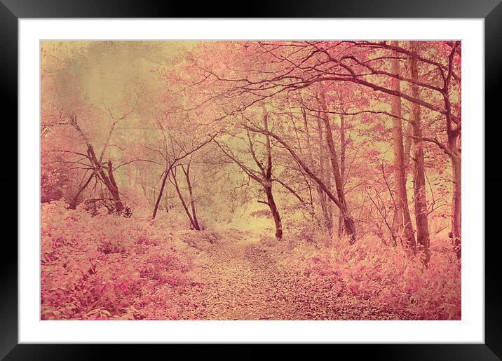 She Dreams  Framed Mounted Print by Dawn Cox