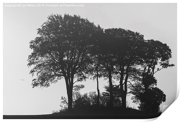 Trees in the Mist Print by Lee Wilson