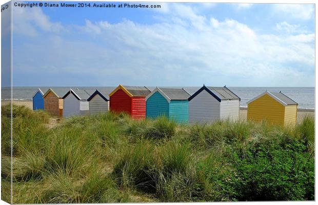 Huts in the Dunes Canvas Print by Diana Mower