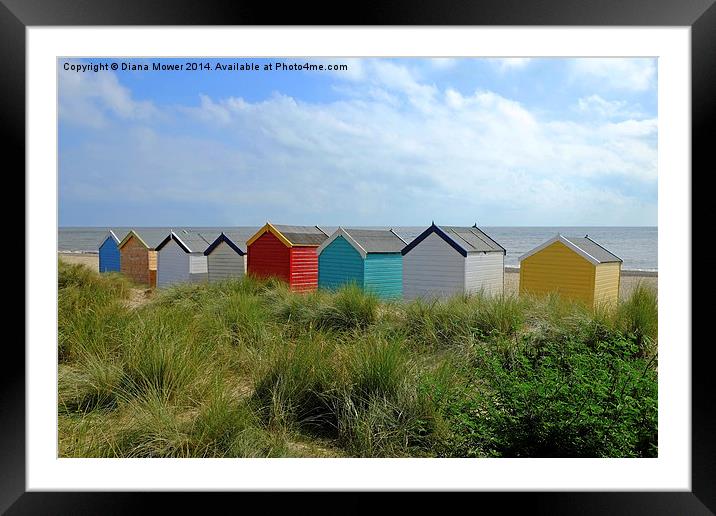 Huts in the Dunes Framed Mounted Print by Diana Mower