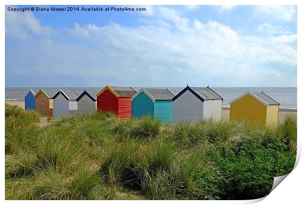 Huts in the Dunes Print by Diana Mower
