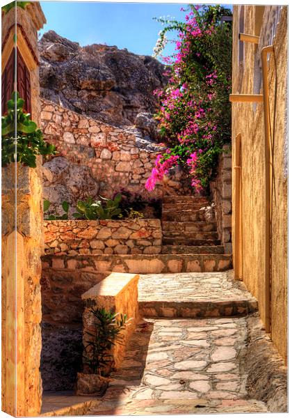 Steps to the garden Canvas Print by Tom Gomez