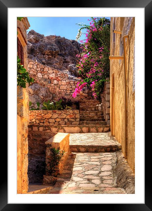 Steps to the garden Framed Mounted Print by Tom Gomez