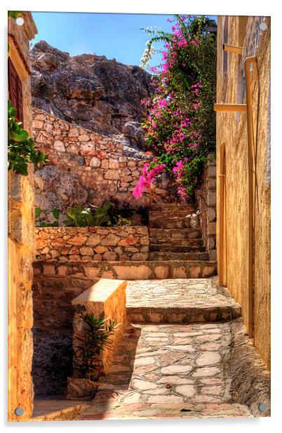 Steps to the garden Acrylic by Tom Gomez