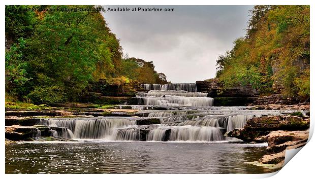  Aysgarth Falls Print by Carolyn Farthing-Dunn