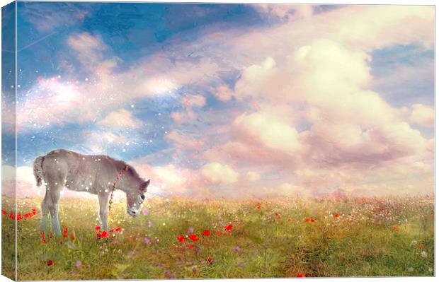 Enchantment in the Meadow  Canvas Print by Dawn Cox
