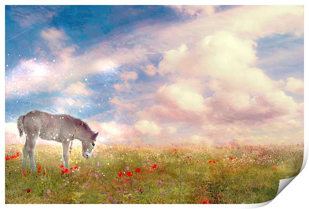 Enchantment in the Meadow  Print by Dawn Cox