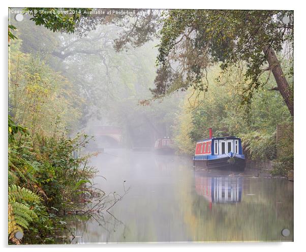  The Basingstoke Canal Acrylic by Steve Liptrot