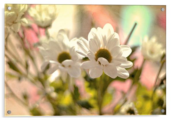  White Daisies!! Acrylic by Nadeesha Jayamanne