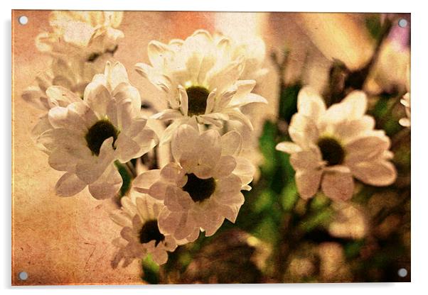  White daisies II Acrylic by Nadeesha Jayamanne