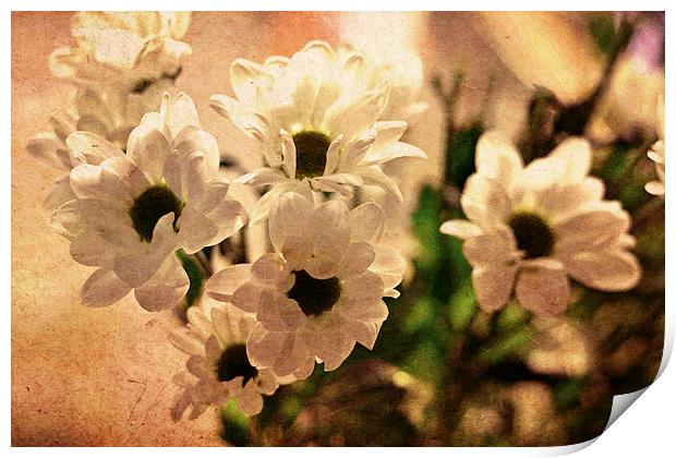  White daisies II Print by Nadeesha Jayamanne