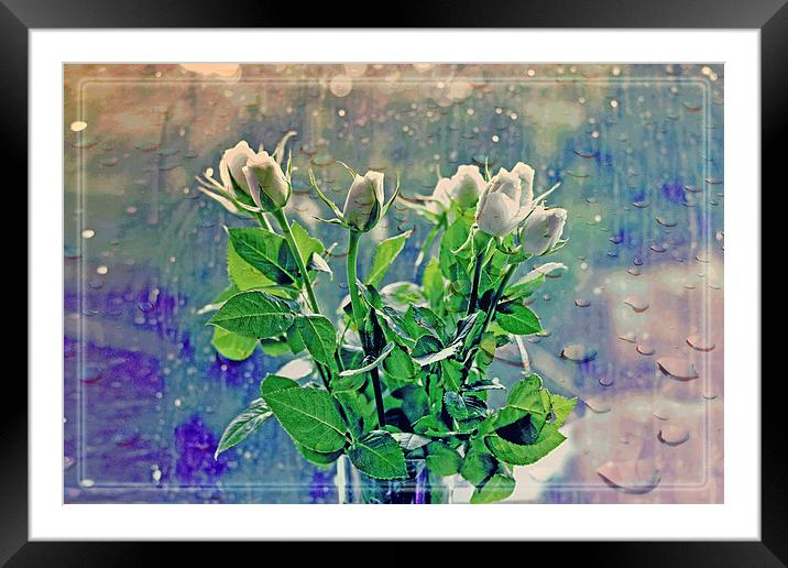  White Roses!! Framed Mounted Print by Nadeesha Jayamanne