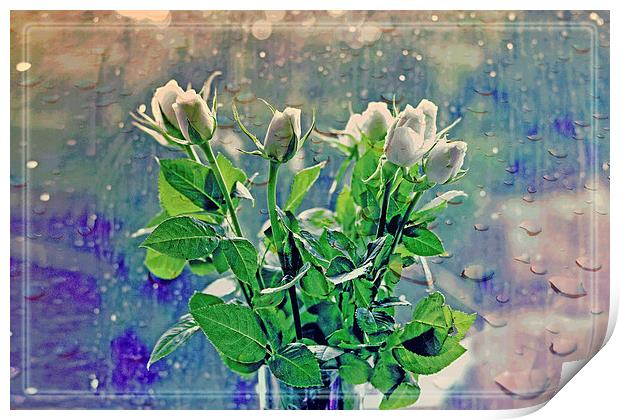  White Roses!! Print by Nadeesha Jayamanne
