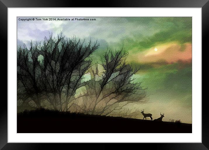 Alone On A Hill Framed Mounted Print by Tom York