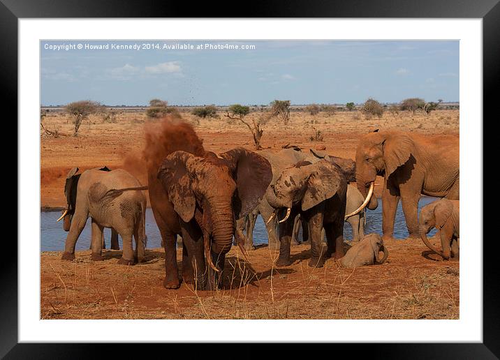 Elephant dust bathing Framed Mounted Print by Howard Kennedy