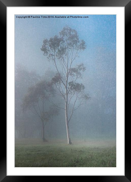  Tree in the Mist, Yan Yean Framed Mounted Print by Pauline Tims