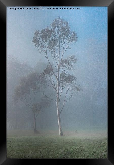  Tree in the Mist, Yan Yean Framed Print by Pauline Tims