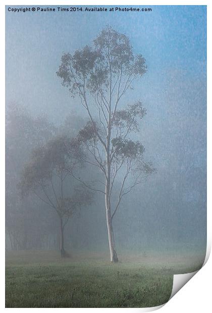  Tree in the Mist, Yan Yean Print by Pauline Tims
