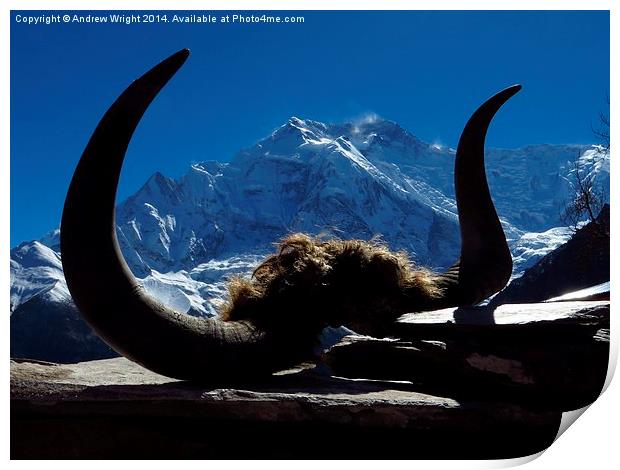 Yak Skull, Ghyaru, Nepal Print by Andrew Wright