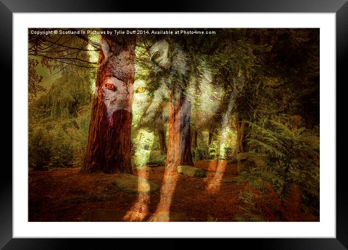  Spirit of The Timber Wolf Framed Mounted Print by Tylie Duff Photo Art