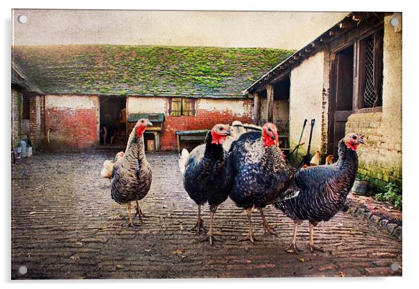 The Farm Yard  Acrylic by Dawn Cox